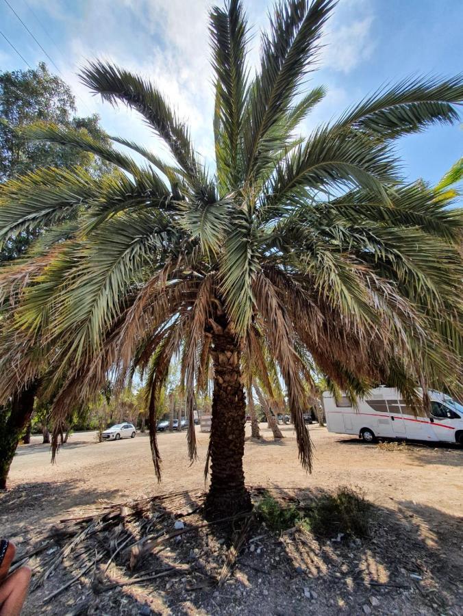 Apartamento Belsol Torrevieja Eksteriør bilde